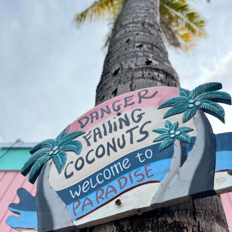 Schild mit der Aufschrift "Achtung, fallende Kokosnüsse – Willkommen im Paradies".