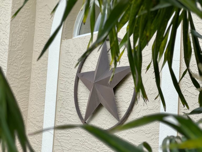 Sternsymbol an einer Wand, umgeben von grünen Pflanzenblättern.