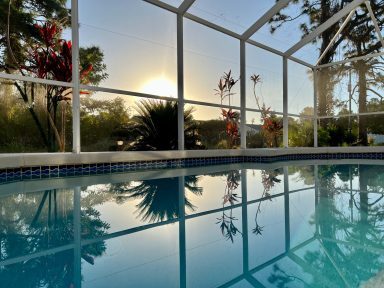 Sonnenaufgang hinter einem Pool, reflektiert im Wasser, umgeben von Pflanzen.